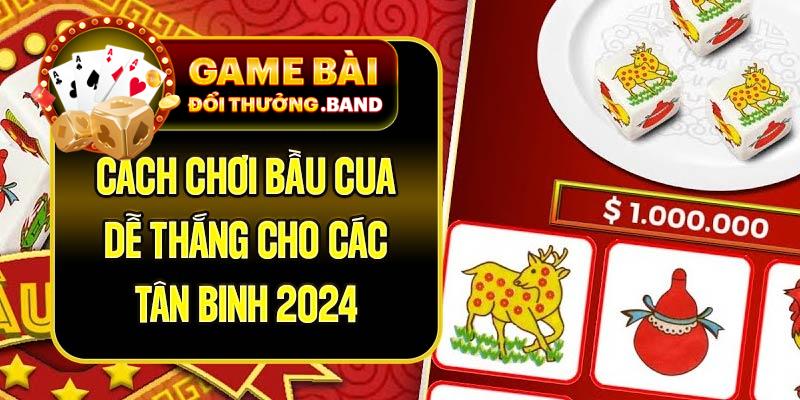 Cách Chơi Bầu Cua Dễ Thắng Cho Các Tân Binh 2024