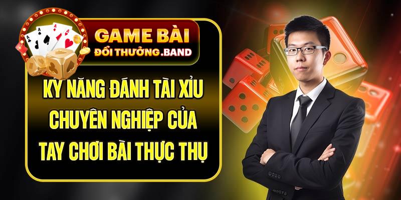 Kỹ Năng Đánh Tài Xỉu Chuyên Nghiệp Của Tay Chơi Bài Thực Thụ