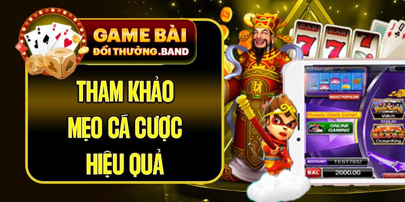 Tham khảo mẹo cá cược hiệu quả